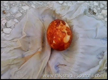 Making easter eggs with natural dies from onion skins - great Earth Day and Easter link. Raki's Rad Resources