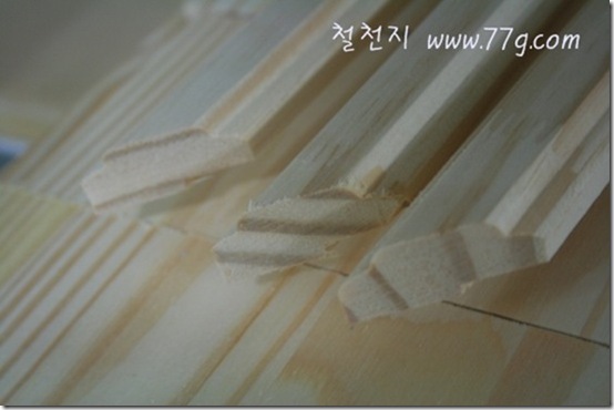 철천지IMG_1048-20110630-170822