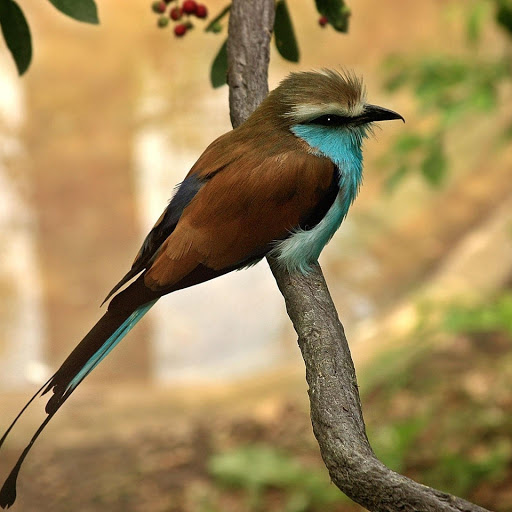 Hd-178652-ascw178652