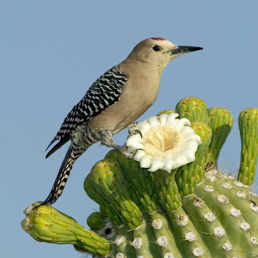 Hd-180351-ascw180351