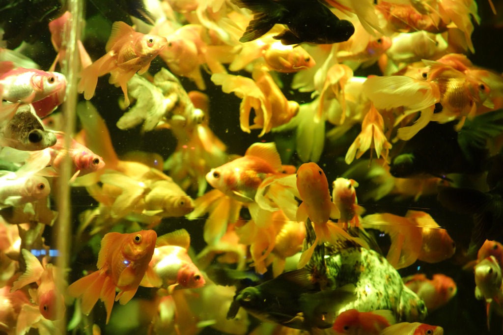 [r-DSC01735%255B3%255D.jpg]