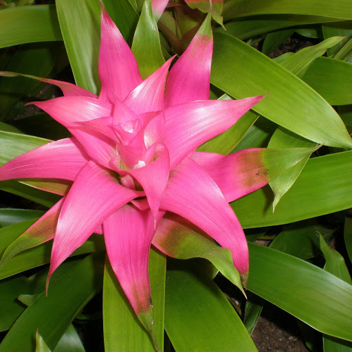 Hd-156094-ascw156094