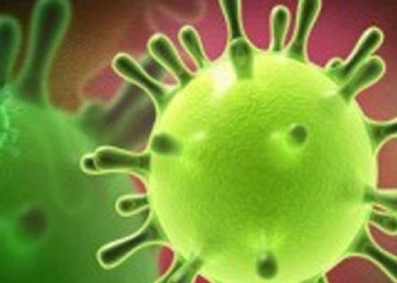 pencegahan-virus-mers