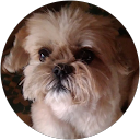 Alberto Cuellas De Frutos profile picture
