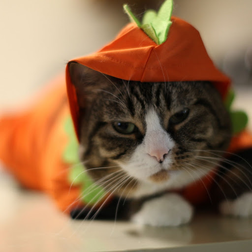 Hd-152403-ascw152403