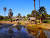 La Brea Tar Pits And The Fossils Within