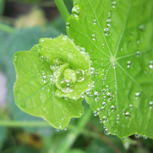 Hd-163626-ascw163626