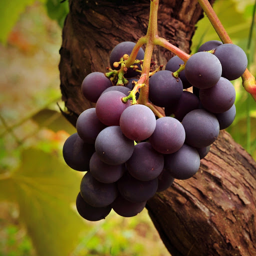 Hd-178972-ascw178972