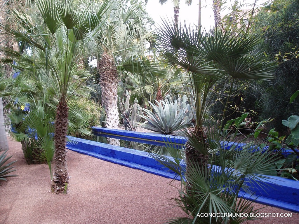 [Jardn-Majorelle-PC09027211.jpg]