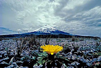 Cotopaxi