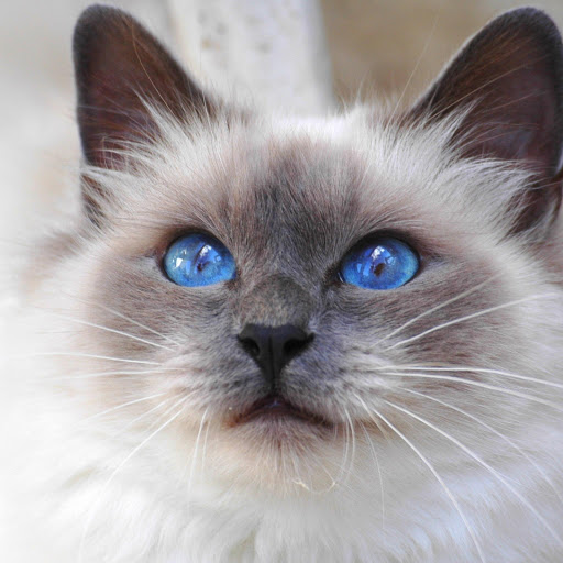 Hd-154329-ascw154329