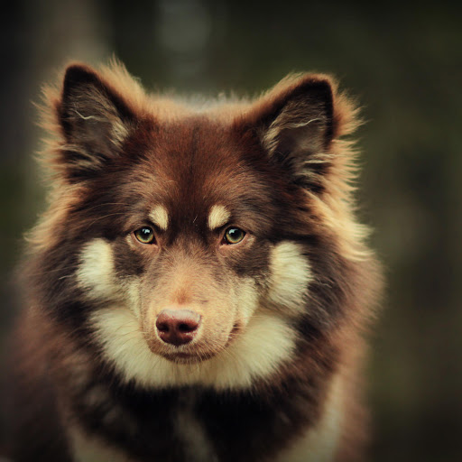 Hd-159444-ascw159444