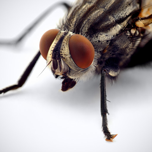 Hd-173236-ascw173236