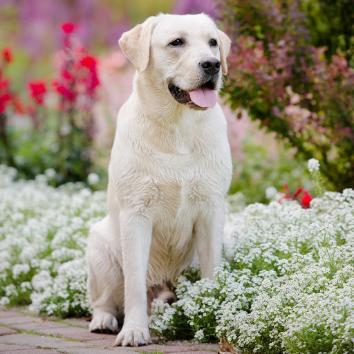 Hd-185255-ascw185255