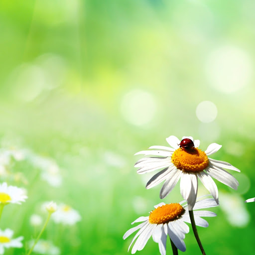 Hd-148350-ascw148350