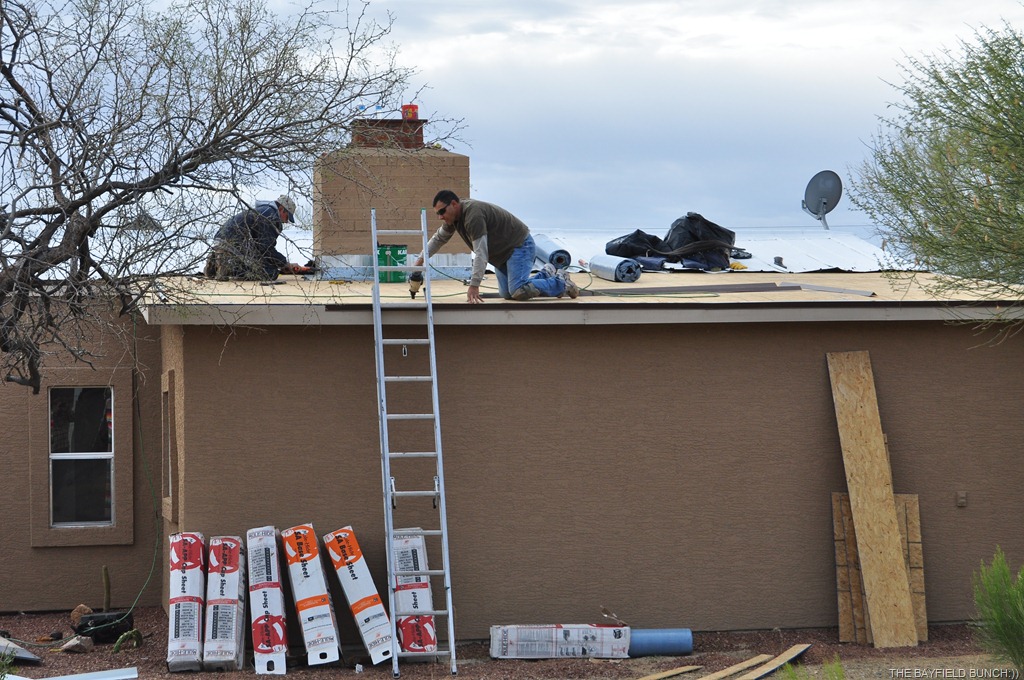 [DSC_0008%255B8%255D.jpg]