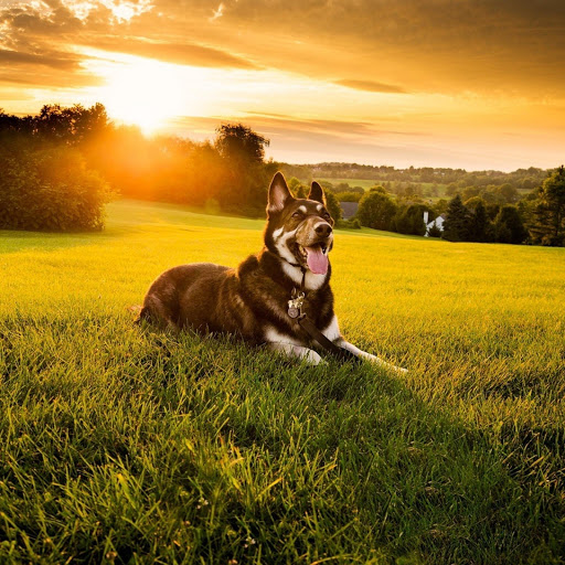 Hd-137473-ascw137473