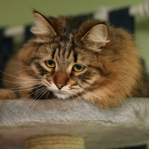 Hd-141253-ascw141253