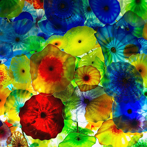 Hd-141008-ascw141008