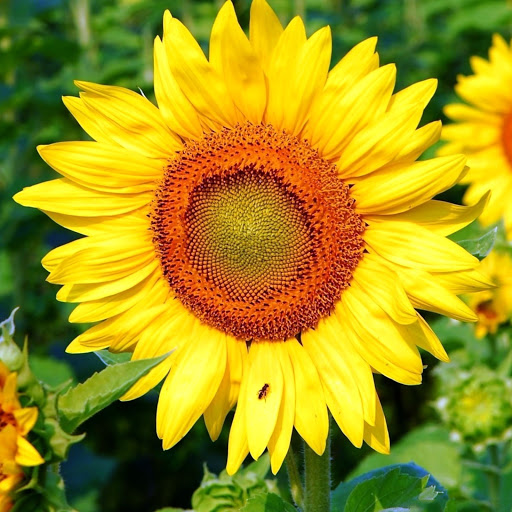 Hd-174934-ascw174934