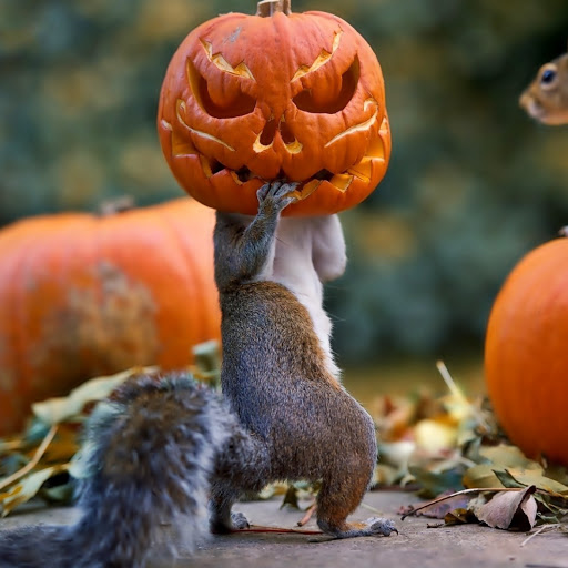 Hd-140338-ascw140338