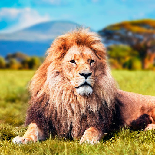 Hd-178792-ascw178792