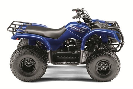 atv grizzly 2012