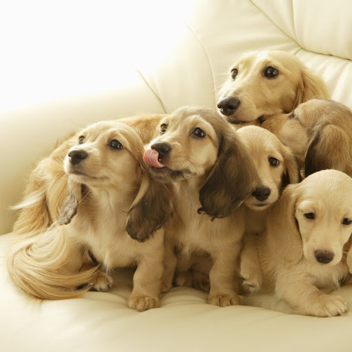 Hd-166360-ascw166360