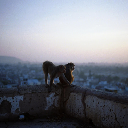 Hd-138931-ascw138931