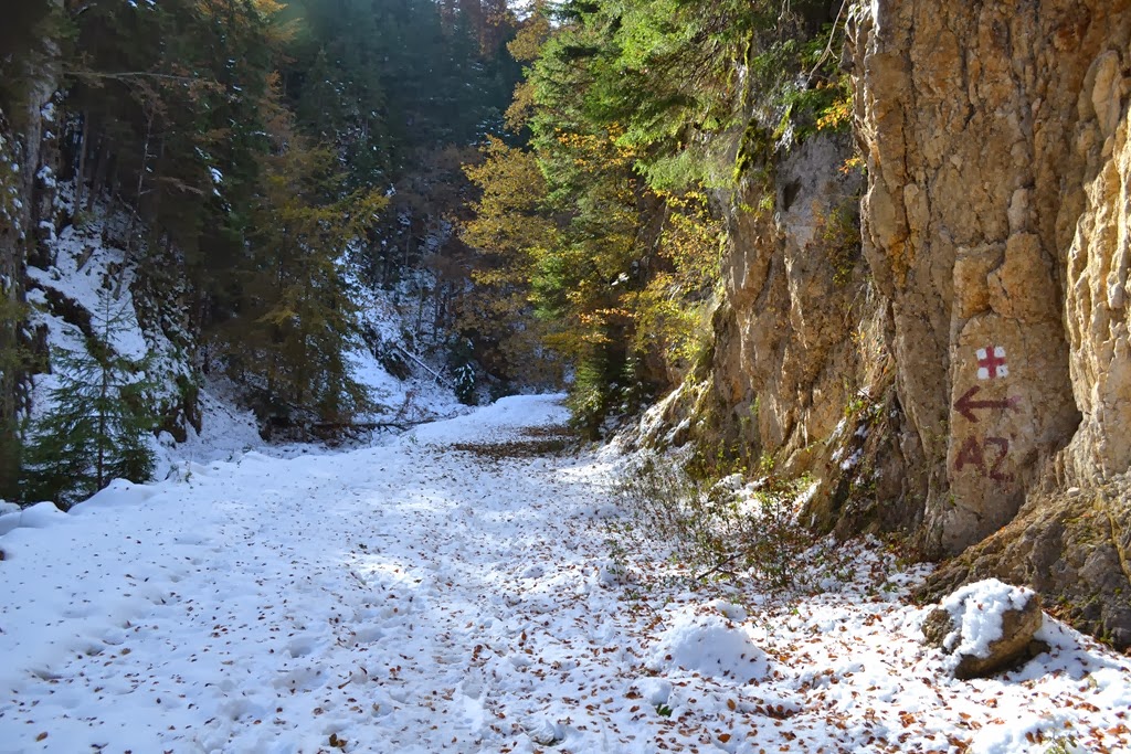 [DSC_0216%255B3%255D.jpg]