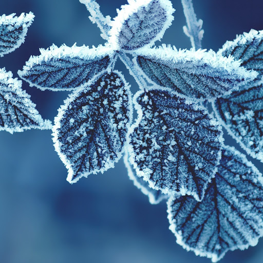 Hd-177656-ascw177656