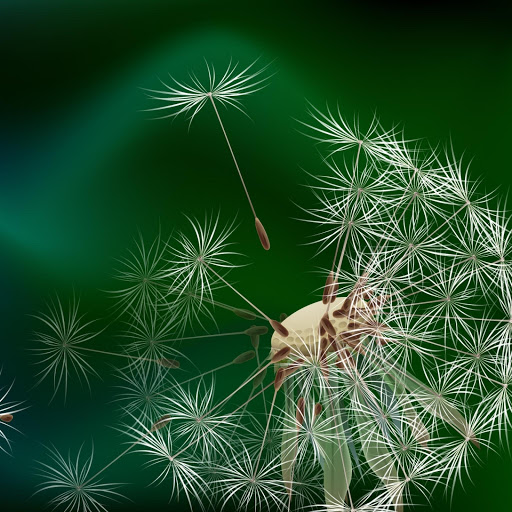 Hd-150914-ascw150914