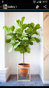 Lastest Indoor Plants APK for Android