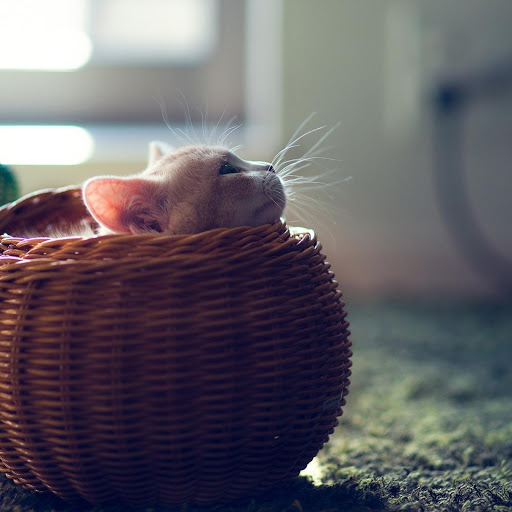 Hd-157730-ascw157730