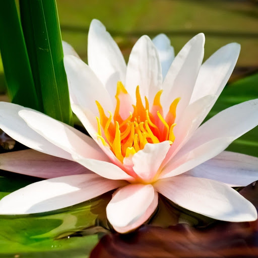 Hd-149955-ascw149955