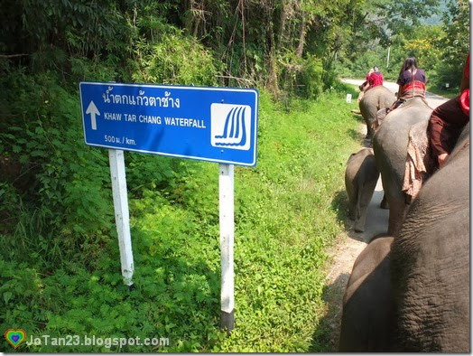 things-to-do-in-chiang-mai-patara-elephant-farm-waterfall