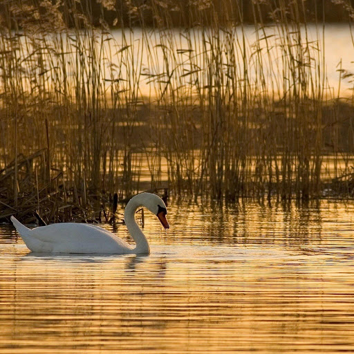 Hd-165591-ascw165591