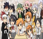 Bleach 08