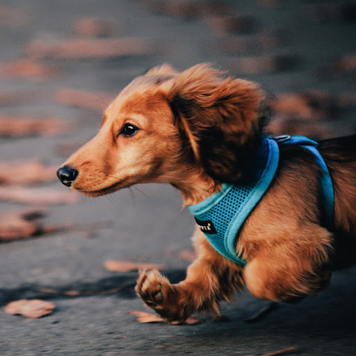 Hd-166637-ascw166637