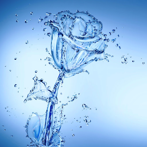 Hd-146108-ascw146108