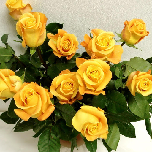 Hd-143601-ascw143601