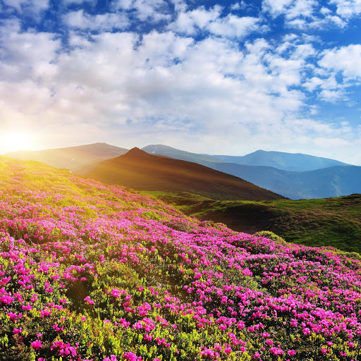 Hd-155767-ascw155767