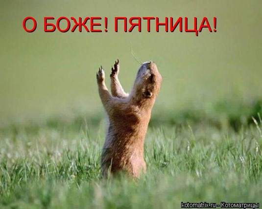 [74721175_HX%255B2%255D.jpg]