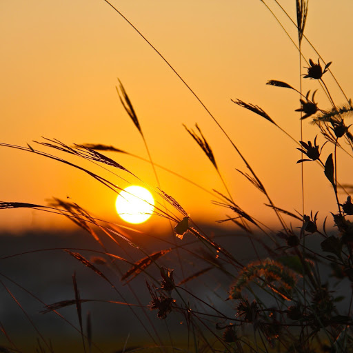 Hd-161443-ascw161443