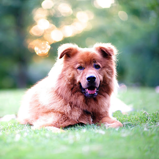 Hd-142208-ascw142208