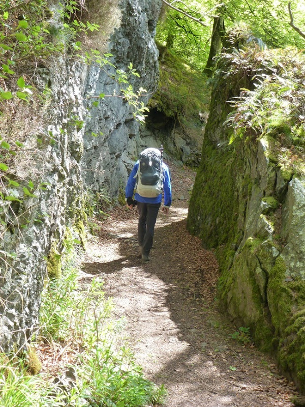 PHIL'S PIC: ME, BLUE DOOR WALK