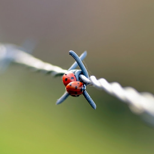 Hd-157072-ascw157072