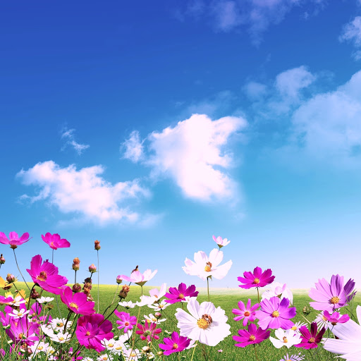 Hd-158595-ascw158595