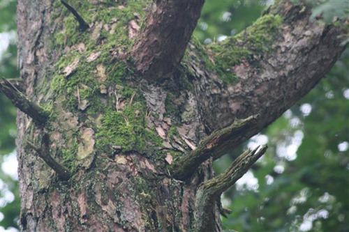 20100822 (5) (Small)