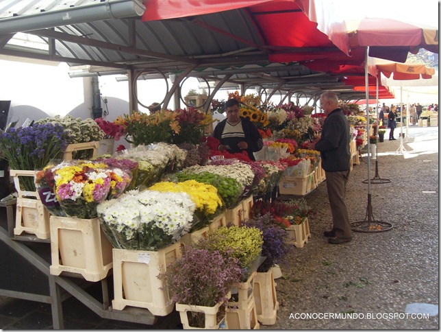 051-Liubliana-Mercado-SDC14670